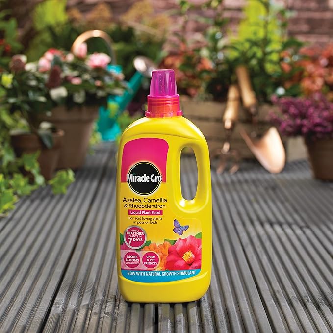 Miracle Gro Azalea, Camellia & Rhododendron Concentrated Liquid