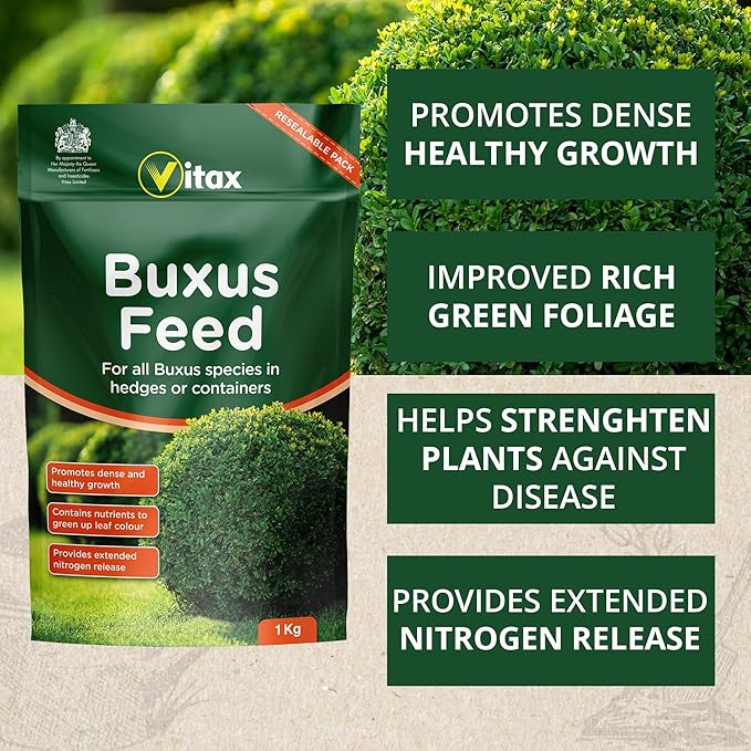Vitax Buxus Feed