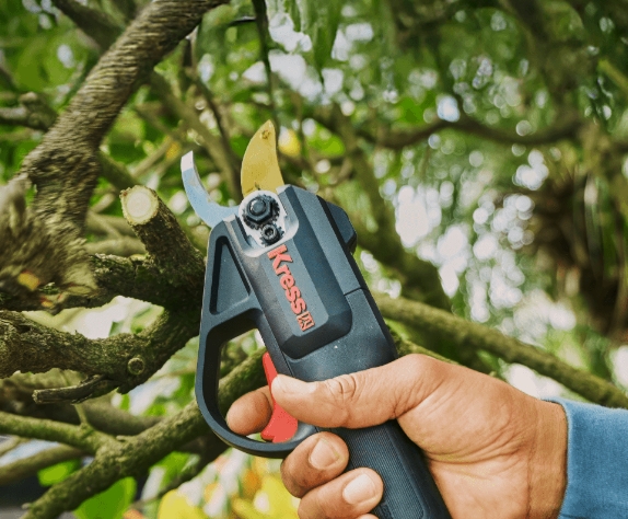 KG340.9 Pruner