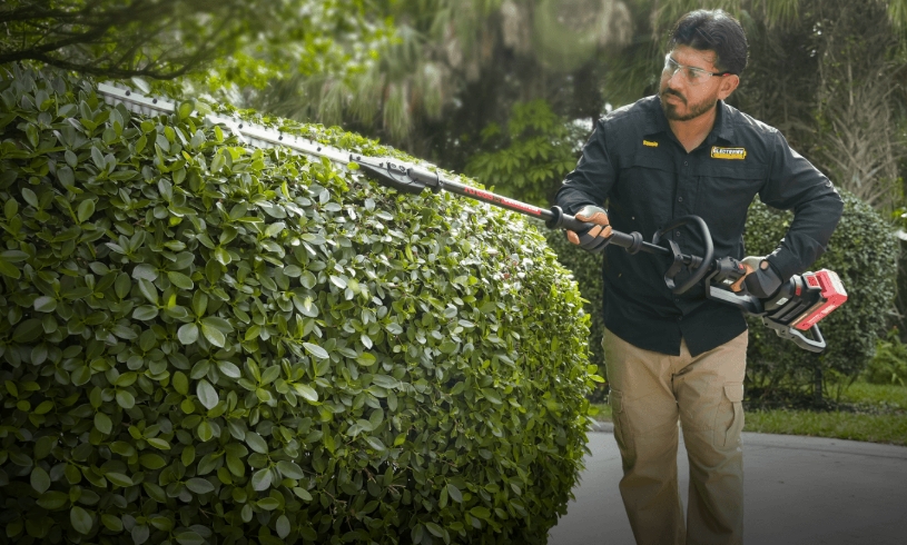 KC241.9 Hedge Trimmer