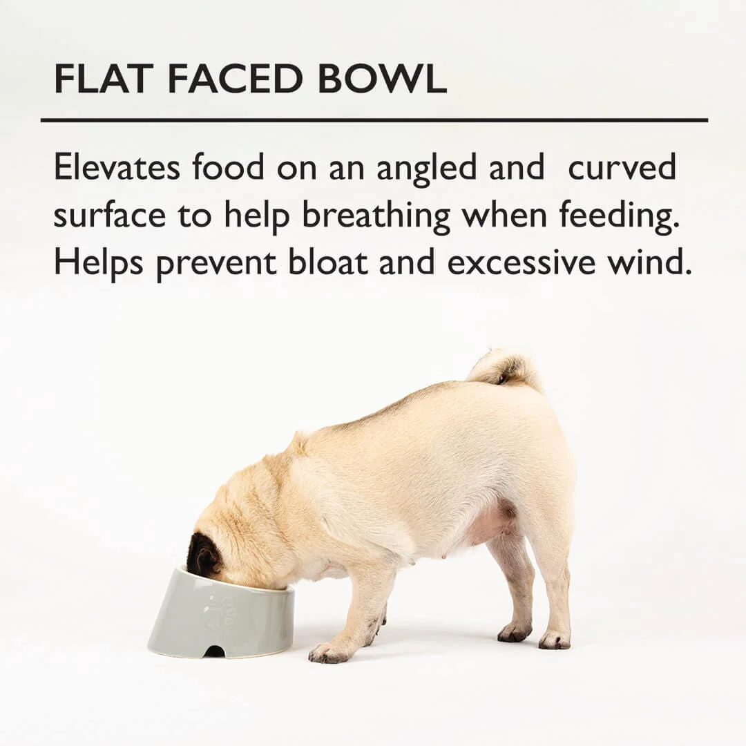 Flat Faced 18cm Cream