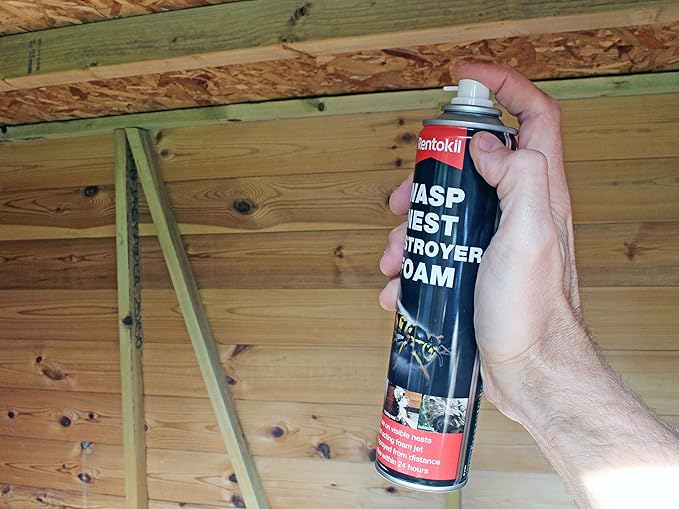 Rentokill Wasp Nest Destroyer Foam