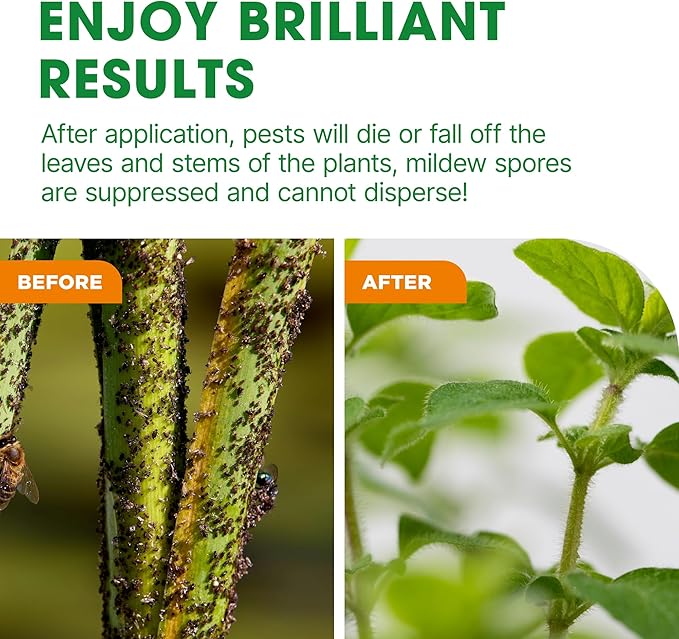 Doff Bug & Fungus Control RTU