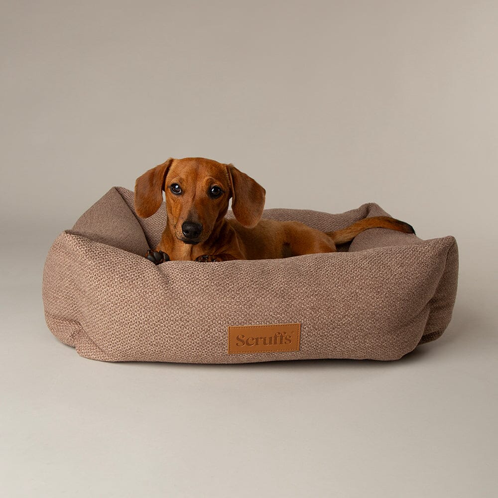 Seattle Bed Brown (M)