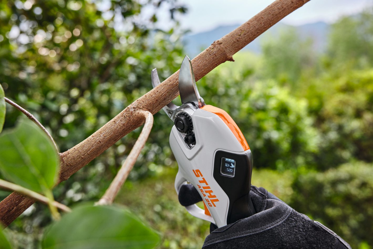 Stihl ASA20.0 Lopping Sheer