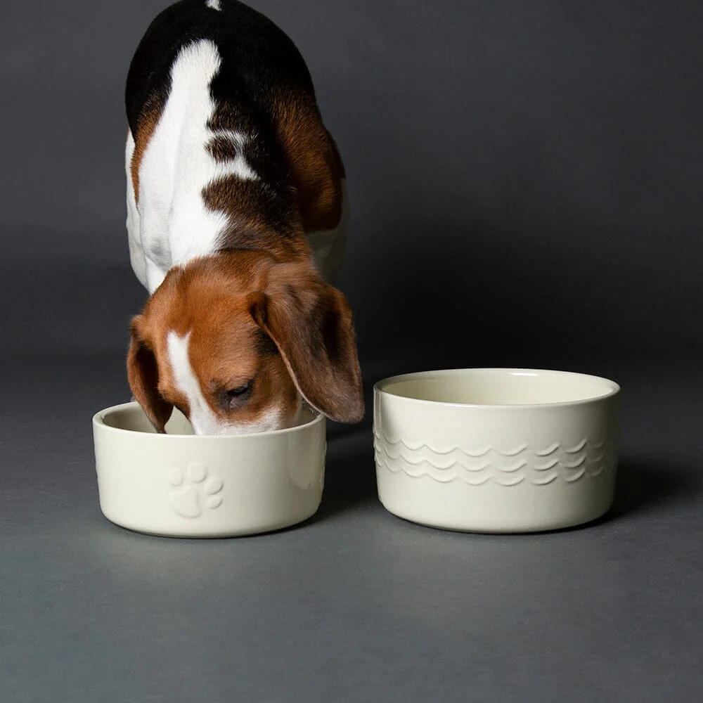 Icon Pet Bowl 20 x 10.5