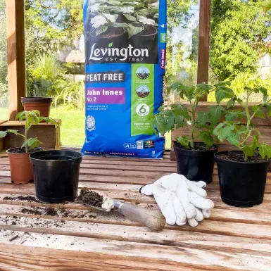 Levington Peat Free John Innes No.2