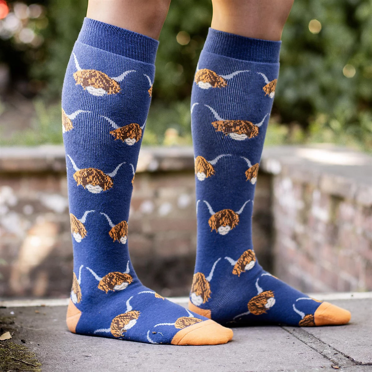 Highland Cow Bamboo Welly Socks