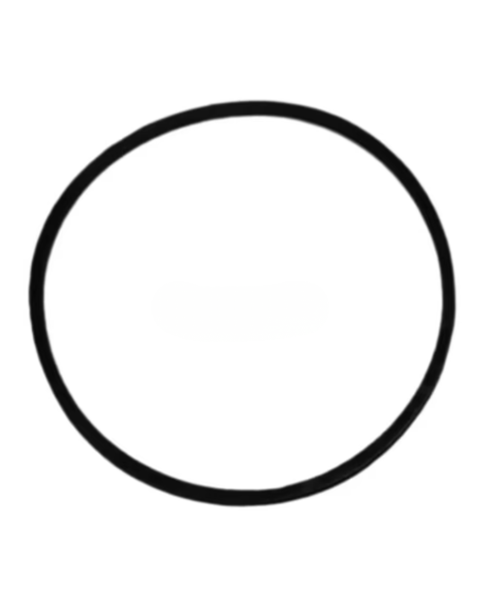 O-Ring (Brake)