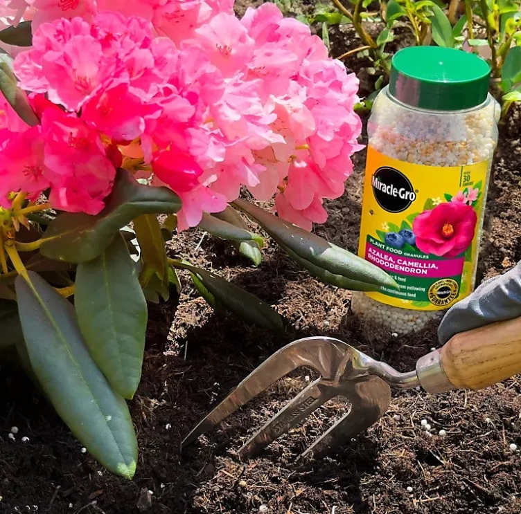 Miracle Gro Azalea, Camellia and Rhodedendron Continuous Release Plant Food