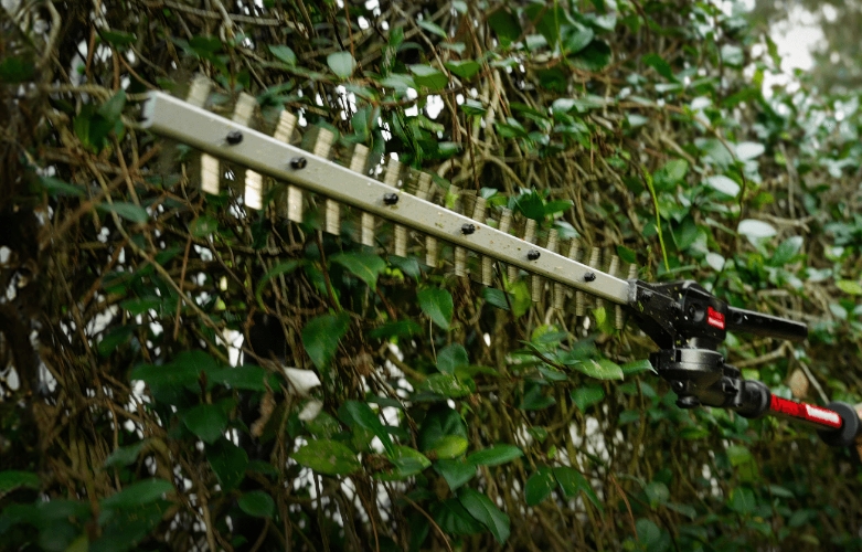 KC240.9 Pole Hedge Trimmer