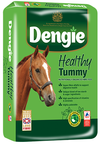 Dengie Healthy Tummy