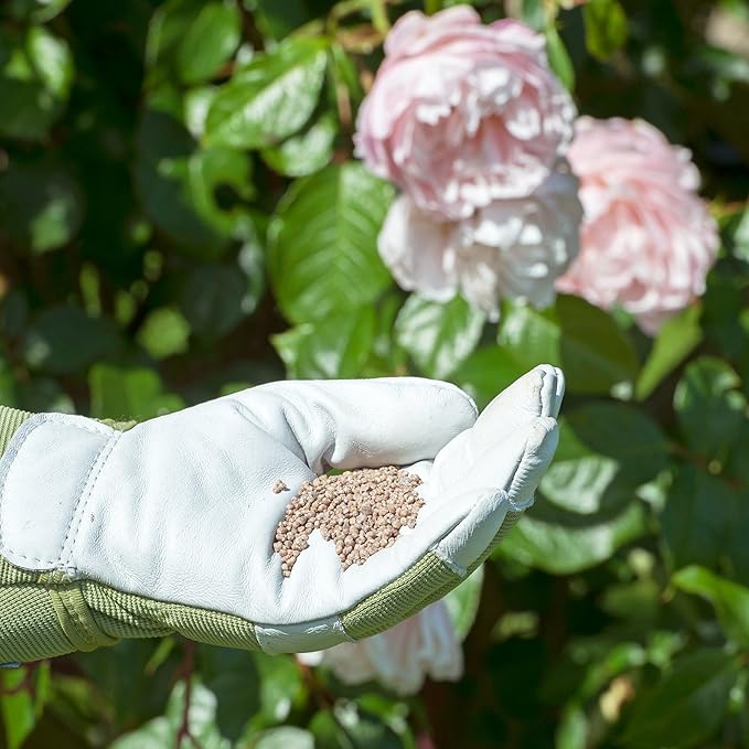 Miracle Gro Rose & Shrub Fast Acting Plant Food