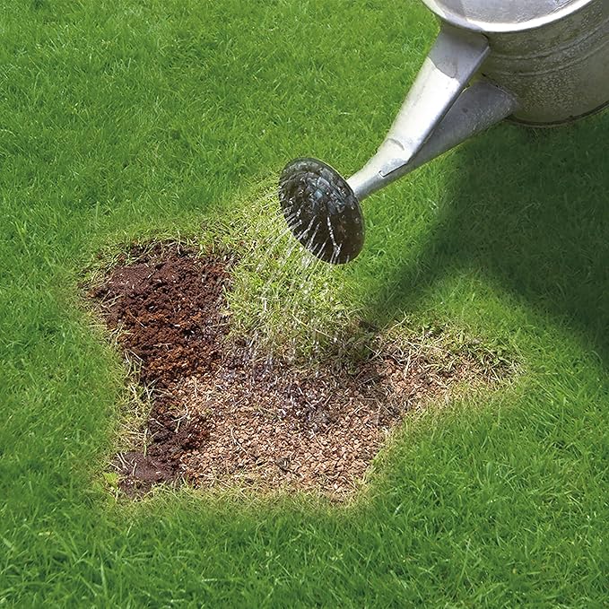 Miracle Gro Patch Magic Grass Seed