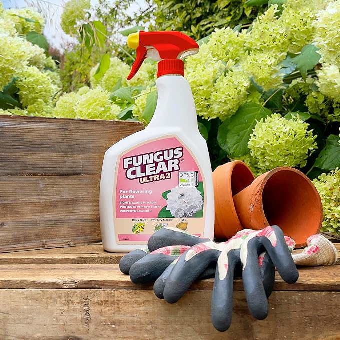 Fungus Clear Ultra 2 RTU