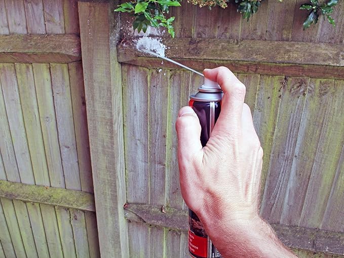 Rentokill Wasp Nest Destroyer Foam