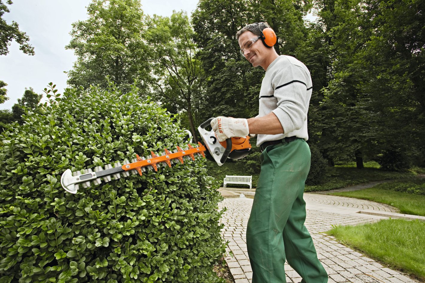 HS56 C-E Hedge Trimmer