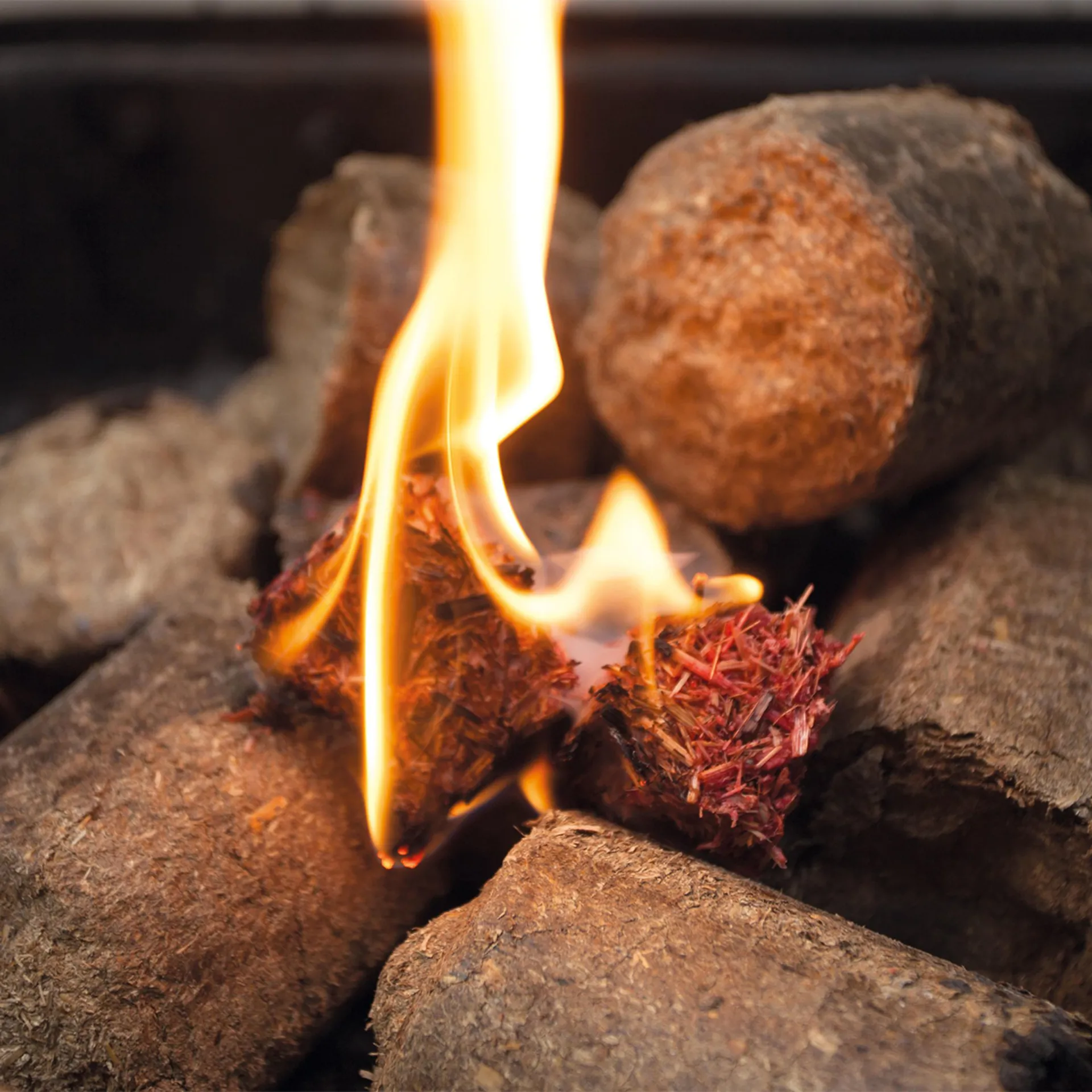 Burly Burn Firelighters