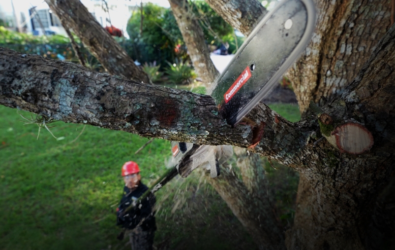 KC330.9 Pole Saw