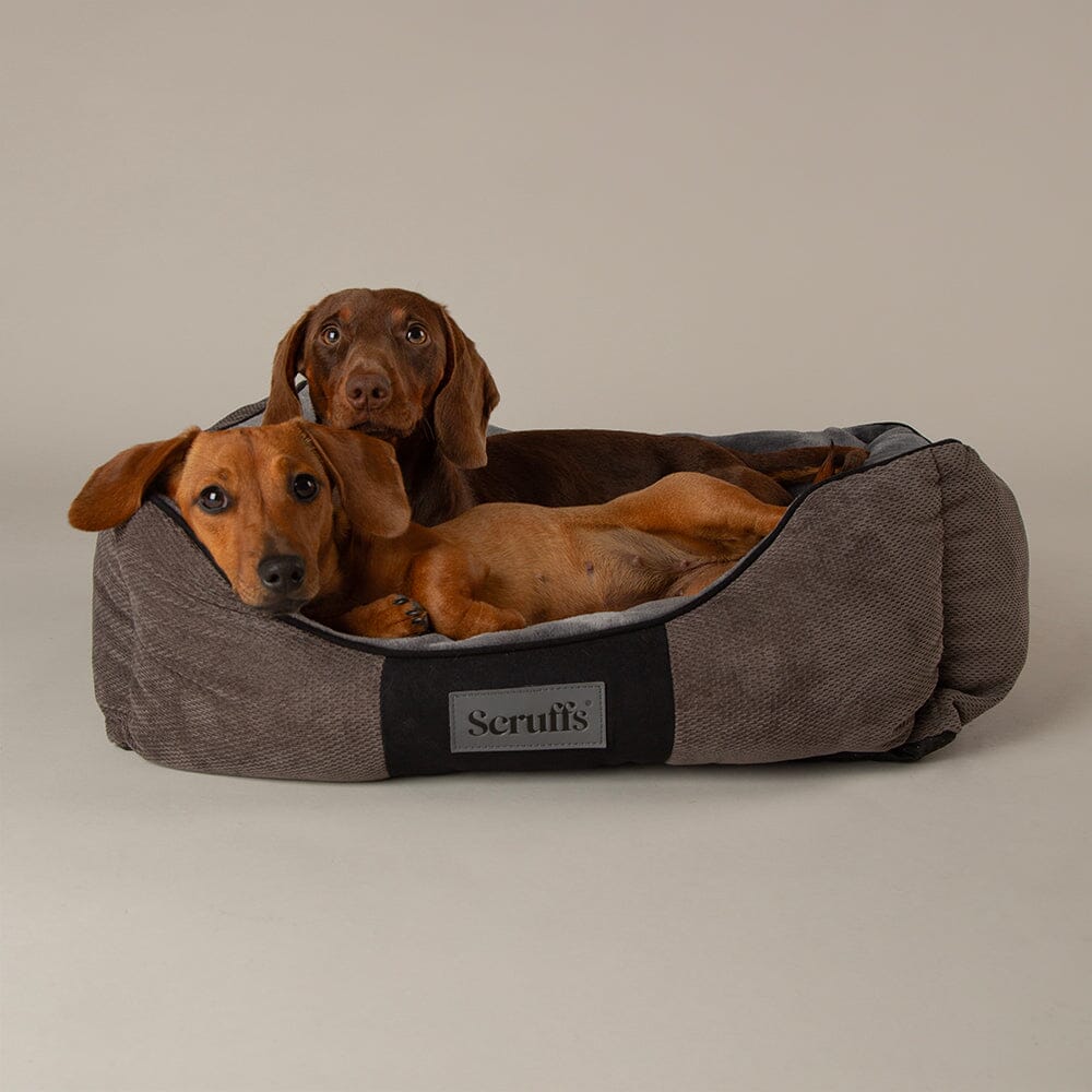 Chester Bed Brown 75 x 60