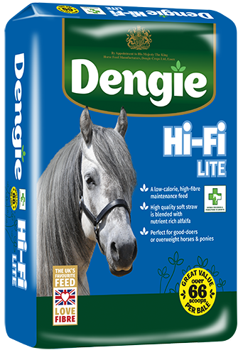 Dengie Hifi Lite Blue