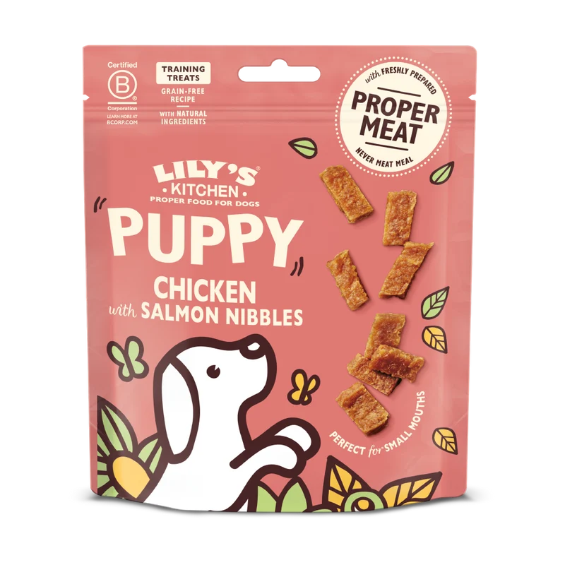 Chicken Nibbles with Salmon Puppy Dog Treats