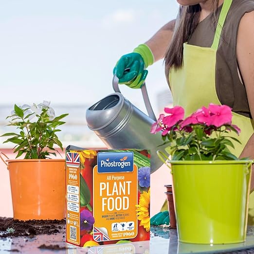 Phostrogen All Purpose Plant Food