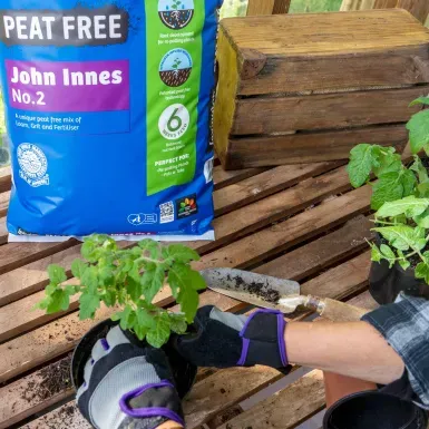 Levington Peat Free John Innes No.2