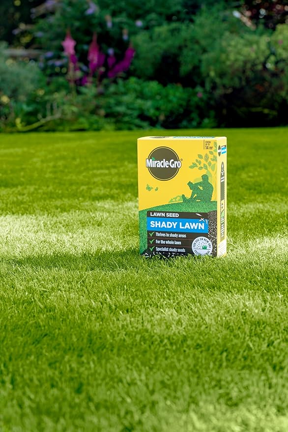 Miracle Gro Lawn Feed Shady Lawn