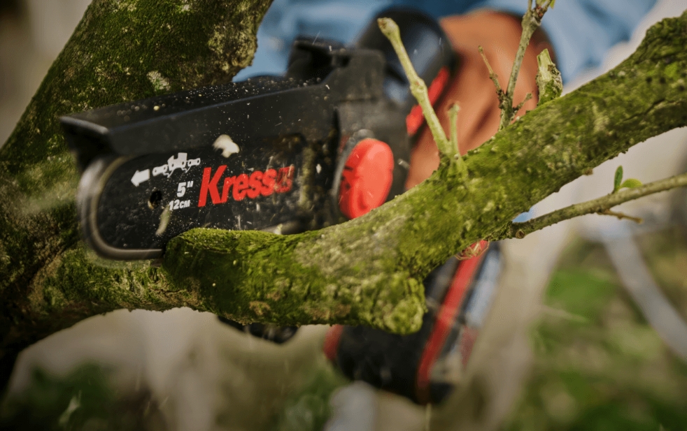 KG343E.9 Pruning Saw