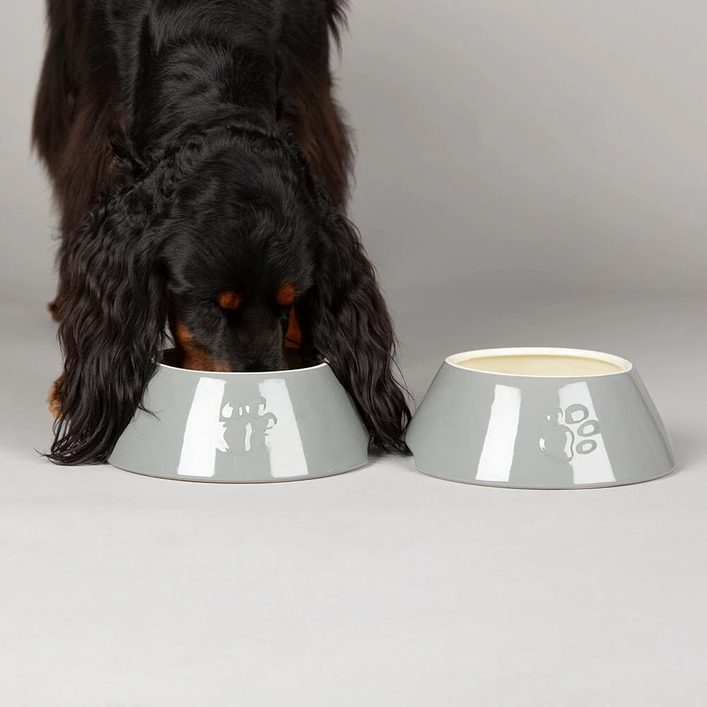 Long Eared Dog Bowl