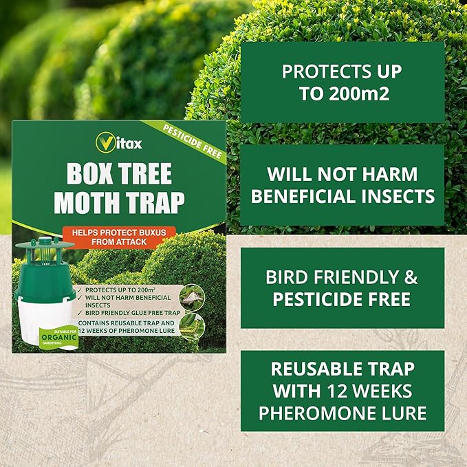 Vitax Box Tree Moth Trap