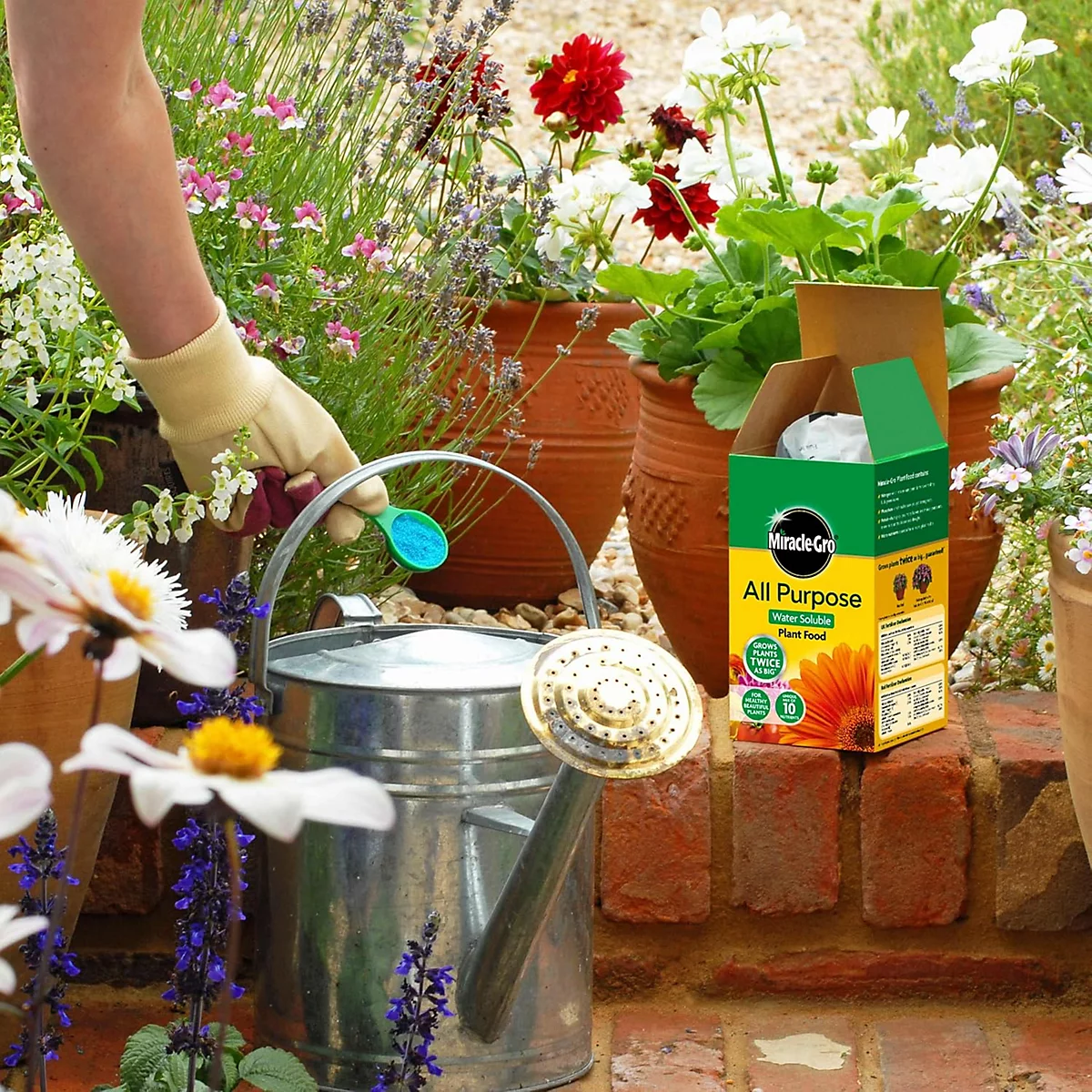 Miracle Gro All Purpose Feed 1kg