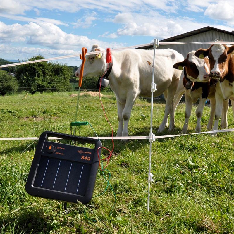 Gallagher S40 Solar Fence Energiser including Battery (6 V - 10 Ah)