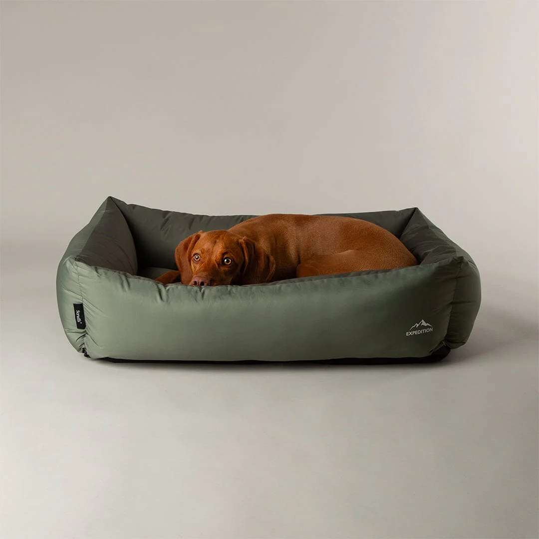 Expedition Bed Green (XL)