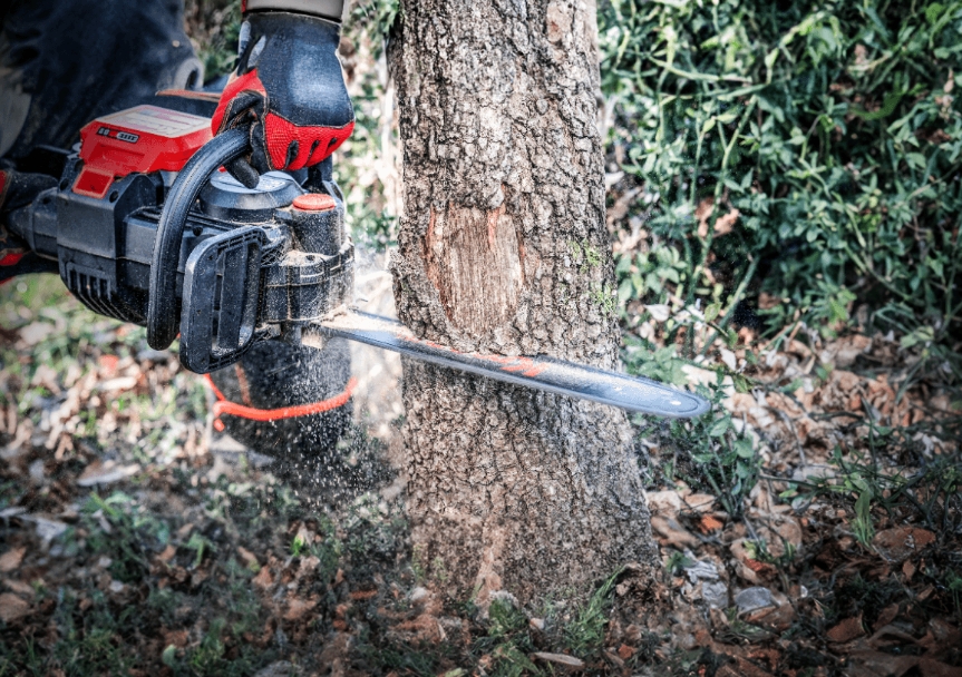 KC300.9 Chainsaw 16"