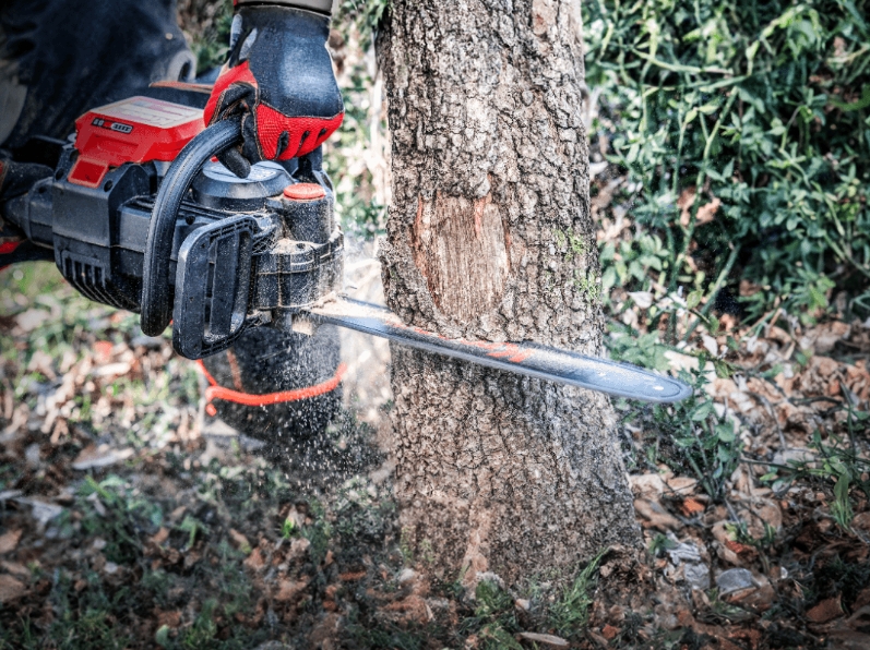 KC310.9 Chainsaw 16"