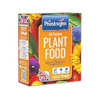 Phostrogen All Purpose Plant Food