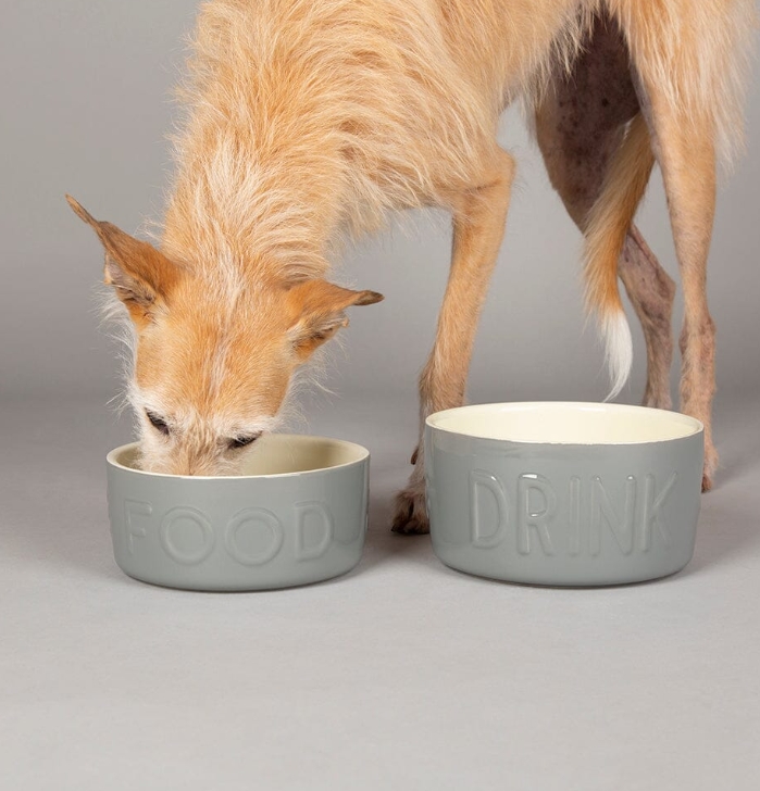 Classic Pet Bowl 21 x 8