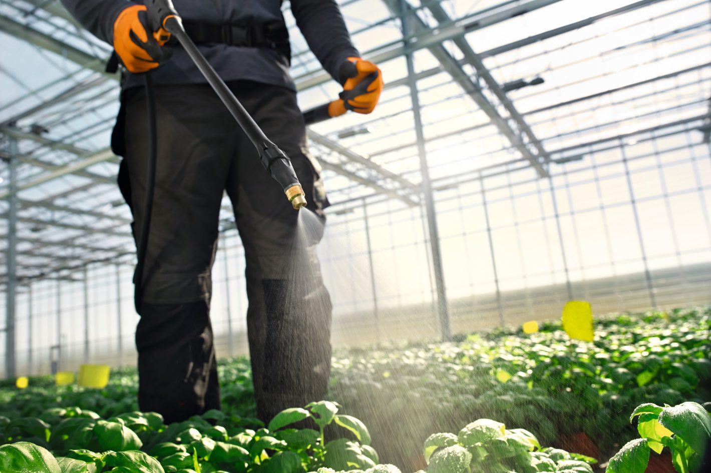 Stihl SG71 Backpack Sprayer 18L