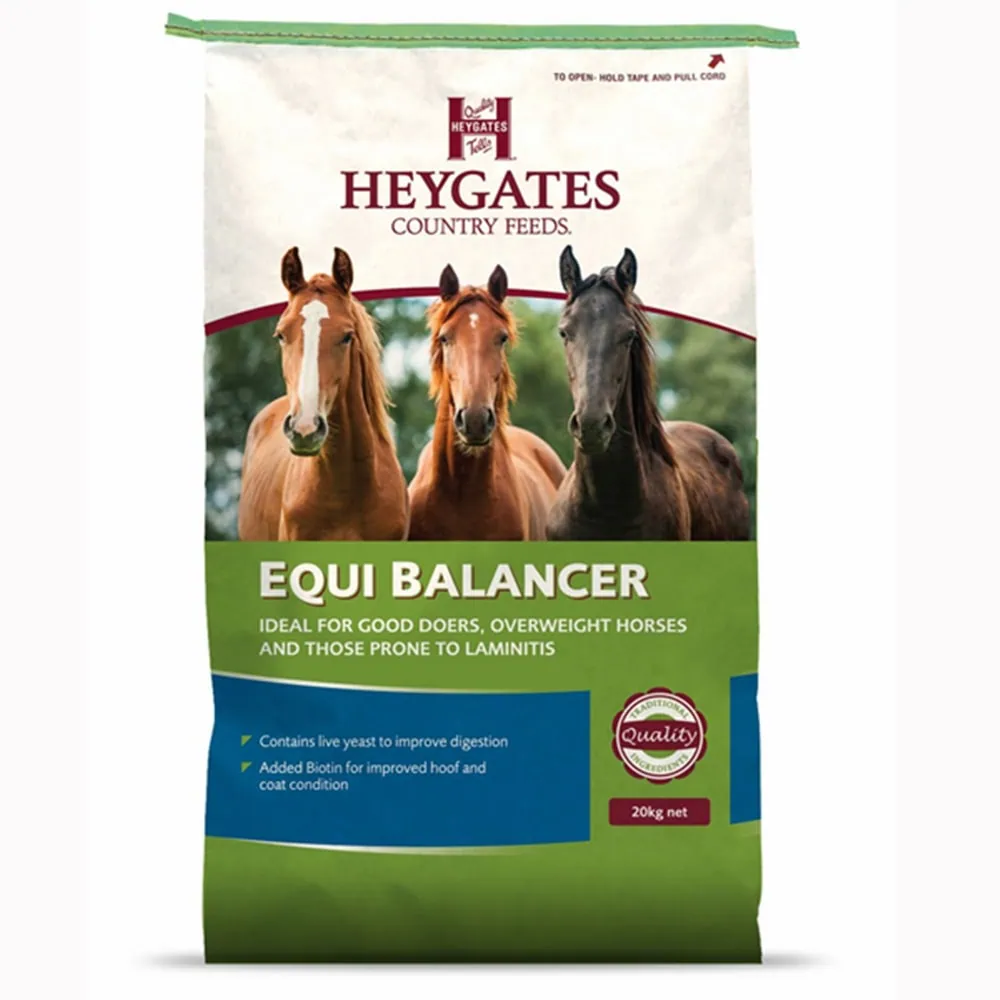 Equi Balancer