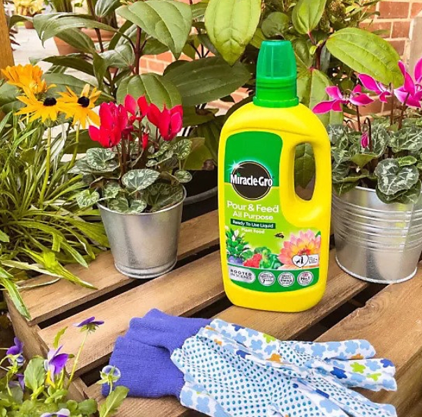 Miracle Gro Pour & Feed All Purpose Ready To Use Liquid