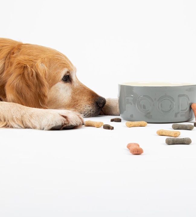Classic Pet Bowl 21 x 8