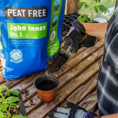 Levington Peat Free John Innes No.1 25L