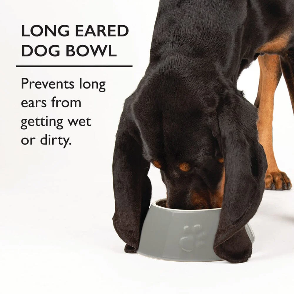 Long Eared Dog Bowl