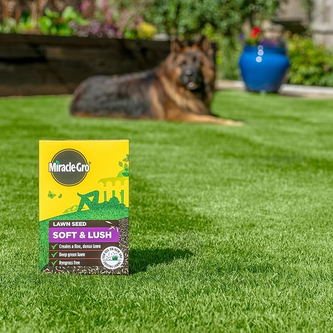 Miracle Gro Soft & Lush Lawn Seed