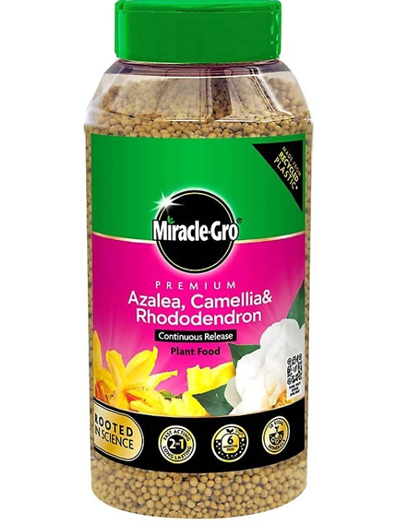 Miracle Gro Azalea, Camellia and Rhodedendron Continuous Release Plant Food
