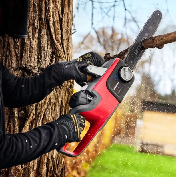 Chainsaw Cordless