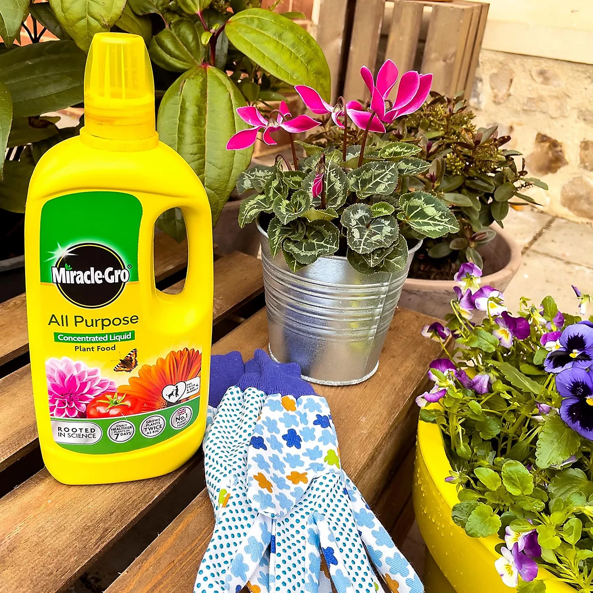 Miracle Gro All Purpose Concentrated Liquid