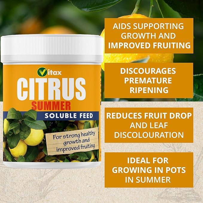 Vitax Citrus Summer Feed